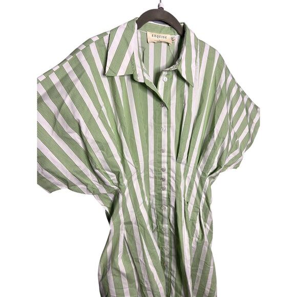 Anthropologie The Tobie Mini Shirt Dress by Exquise Large Green Stripe - Picture 6 of 8